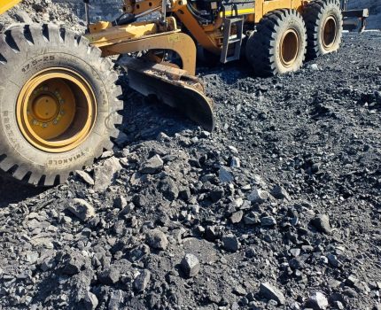 WhatsApp Image 2025-03-14 at 12.25.02